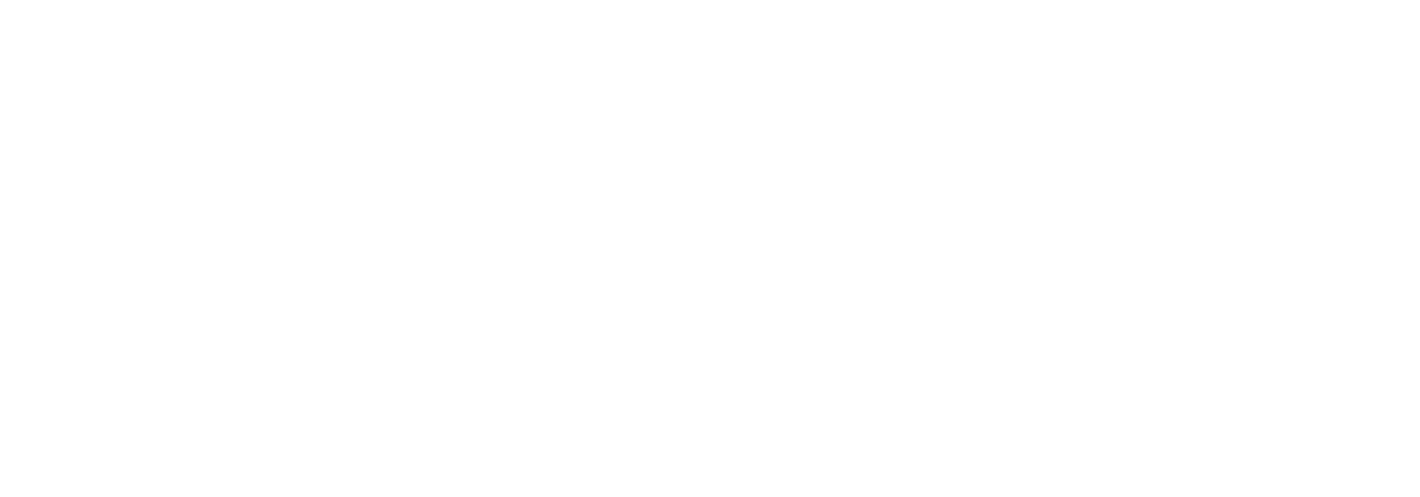 Logo Wahoo X